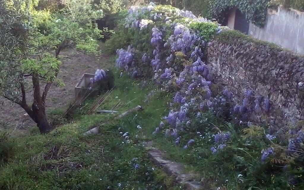 B&B Costa Lupara - Villa Murchio Alassio Zewnętrze zdjęcie