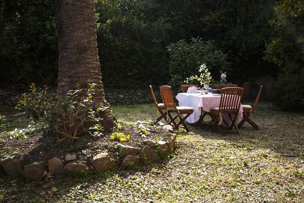B&B Costa Lupara - Villa Murchio Alassio Zewnętrze zdjęcie