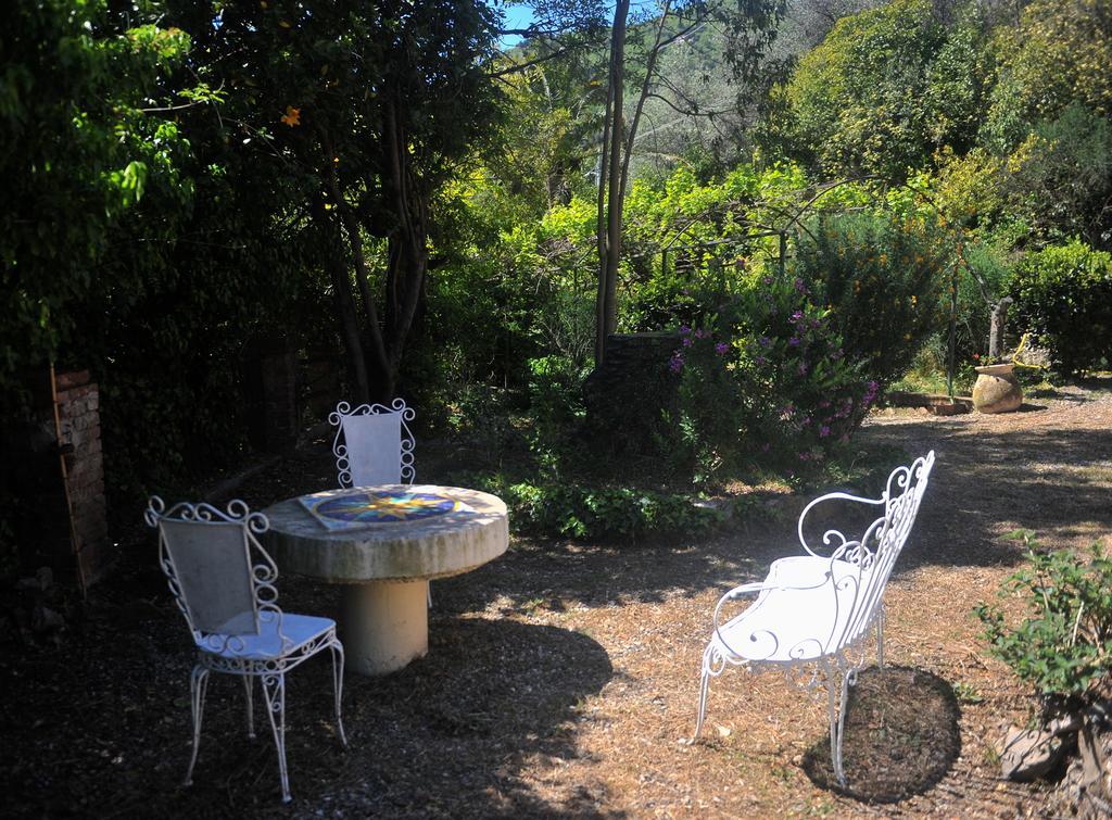 B&B Costa Lupara - Villa Murchio Alassio Zewnętrze zdjęcie